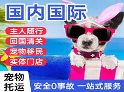 涟水航空邮寄国际宠物托运 【国